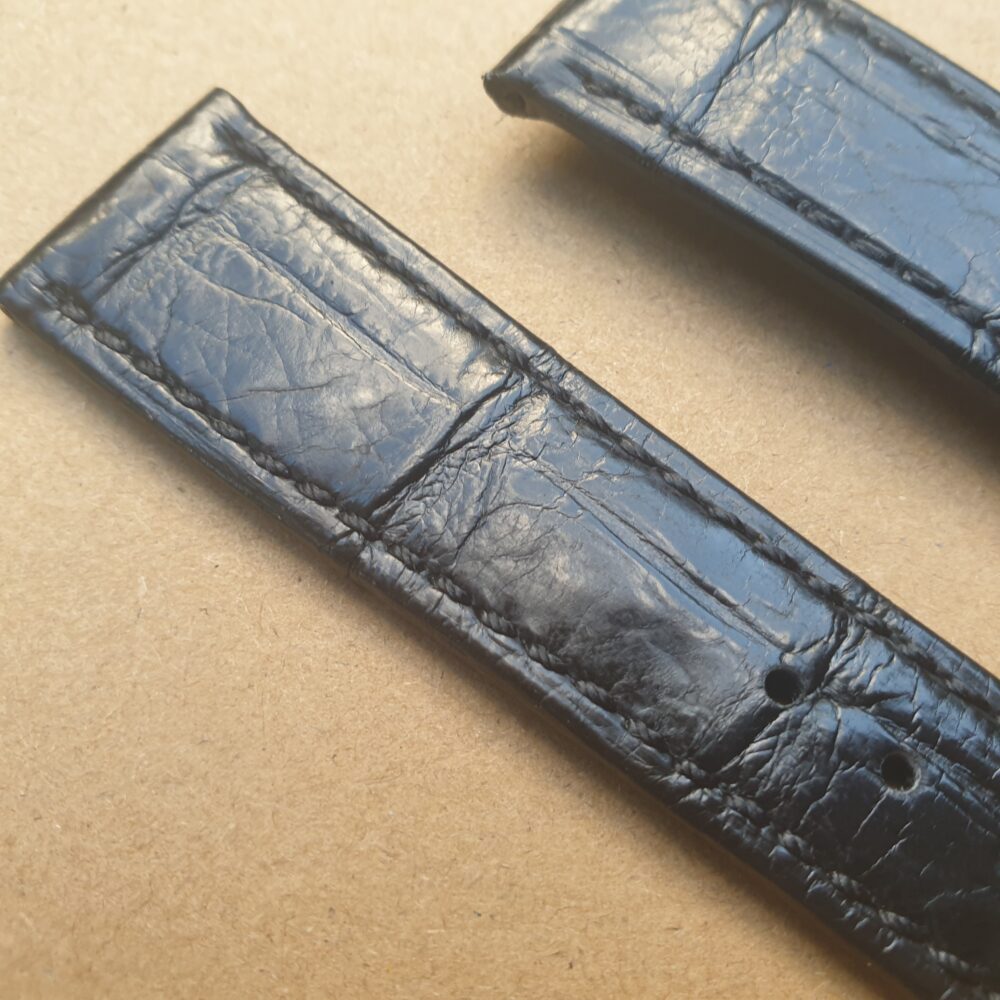 Genuine Alligator Skin close up