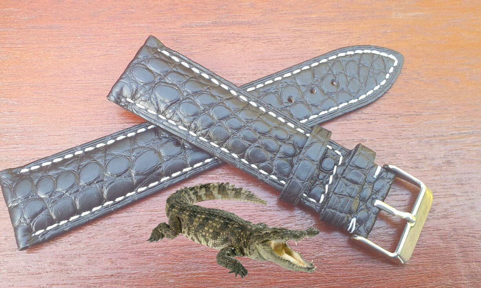 genuine alligator leather watch strap with buckle