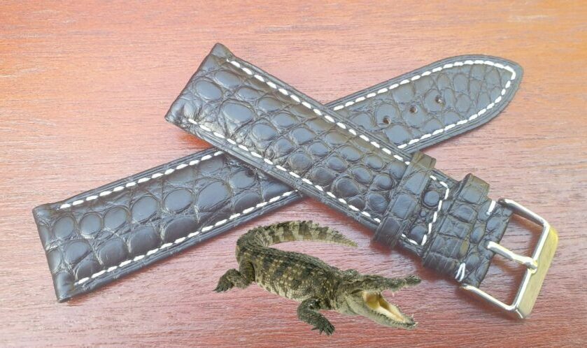 genuine alligator leather watch strap with buckle