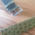 Alligator Thin Green Buckle Closeup